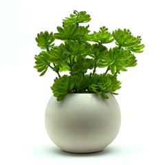 SKYGREEN Luxury Artificial Green Bonsai Tree with Stylish Decorative Pot for Modern Home, Office Desk & Shelf Decor | (BN-104)