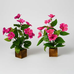 fancymart Artificial Flower Plant Home Décor with Small Size Pot | Pack of 2 | Plant Hanging for Home Decor | Office Decor (DESIGN-01)