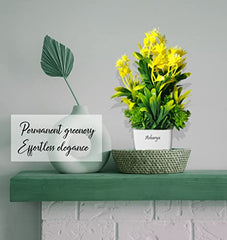 Asharya® Artificial Flower Plants for Home Décor – Set of 4 Mini Potted Plants (7 Inch) in White Pots | Pink, Yellow, Red & Blue Faux Flowers for Living Room, Office, Indoor Outdoor Decoration