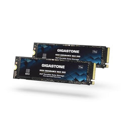 Gigastone 【NAS Certified】 High Endurance M.2 SSD 1TB (2-Pack) for Data Cache and Fast Boot, NVMe PCIe Gen3 Up to 2200MB/s, TLC Flash with SLC Caching, 24/7 Reliable for Gaming/PC/NAS, 5-Year Warranty