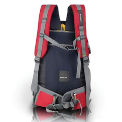 Wesley Spartan Unisex Travel Hiking Laptop Bag fits Upto 17.3 inch with Raincover and Internal Organiser Backpack Rucksack College Backpack