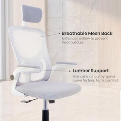 Casa Haus Italia Premium Leatherette Office Chair for Work | Boss Chair, Ergonomic Executive, Luxurious Cushioned Arms & Seat, 2 Point Back Massager, Heavy Duty Metal Base (Burgundy)