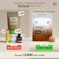Setu Plant Protein + Veg Collagen | 24g Protein with Glutathione & Biotin | Pea & Rice Isolate | For Muscle, Skin & Hair | Protein Powder for Men & Women | Alphonso Mango Flavour | (1 Sachet Single Serve)