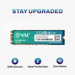 EVM 1TB M.2 SATA SSD 2280 | Internal SSD | Up to 550MB/s Read 370MB/s Write | Laptop Desktop Upgrade Storage | 5 Year Warranty (EVMM2/1TB)