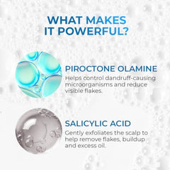 Aqueria Oil Control 3% Niacinamide French Face Serum for Oily & combination Skin with 2% BHA | Oil Free & Non Comedogenic Mattifying Anti Acne Serum | Fades Acne Marks & Reduces Dark Spots | Reduces Blackheads, Excess Oil & Bumpy Texture | Lightweight &…