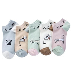 MOMISY Cute Cat Design Ankle Socks Pastel Colors, Low-Cut Casual Wear Pack of 5 (Multicolor)