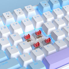 MageGee 75% Mechanical Gaming Keyboard with Brown Switch, LED White Backlit Keyboard, 87 Keys Compact TKL Wired Computer Keyboard for Windows Laptop PC Gamer - Retro Grey/White
