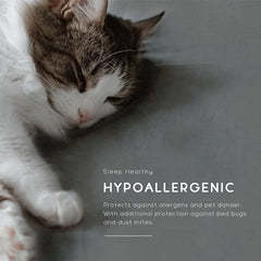 MollisHomes Mattress Protector Single Size, 72x36 Inches, Grey