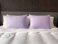 Soft Pillow Covers 19 x 29 Inches - Egyptian Cotton 600 Thread Count Set of 2 Pillow Cover Set Envelope Closure Hotel Quality Pillowcase - Beige