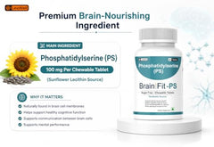 Brainifit-PS Phosphatidylserine 100mg Chewable Supplement | Memory, Focus & Cognitive Function Support | Sugar Free - 60 Tablets (by LeeWell)