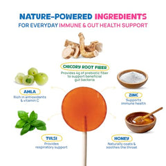 Wellopia Immune Support Pops | Orange & Mixed Berry | Ages 2+ | 15 Pops