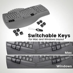 Perixx PERIBOARD-612W Wireless Ergonomic Split Keyboard with Dual Mode 2.4G and Bluetooth Feature, Compatible with Windows 10 and Mac OS X System, White, US English Layout