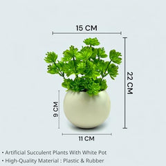 SKYGREEN Luxury Artificial Green Bonsai Tree with Stylish Decorative Pot for Modern Home, Office Desk & Shelf Decor | (BN-104)
