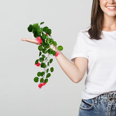 fancymart Artificial Flower Plant Home Décor with Small Size Pot | Pack of 2 | Plant Hanging for Home Decor | Office Decor (DESIGN-01)