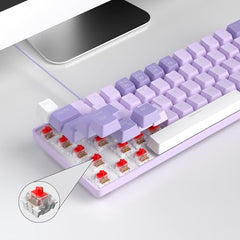 MageGee Portable 60% Mechanical Gaming Keyboard, MK-Box LED Backlit Compact 68 Keys Mini Wired Office Keyboard with Blue Switch for Windows Laptop PC Mac - Blue/White