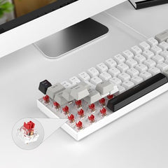MageGee Portable 60% Mechanical Gaming Keyboard, MK-Box LED Backlit Compact 68 Keys Mini Wired Office Keyboard with Blue Switch for Windows Laptop PC Mac - Blue/White