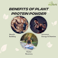 MYHERB Plant Protein Powder | Pea And Brown Rice Protein Powder | Vegan High Protein Powder | 27 gm Protien,21 Vital,6 gm BCCAs |Sugar Free|For Men,Women (500 g (Pack of 1), Chocolate)