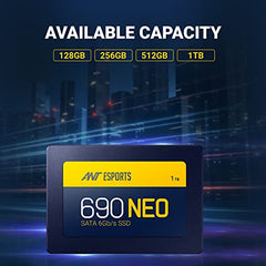 Ant Esports 690 Neo Sata 2.5" 1TB Internal Solid State Drive/SSD with SATA III Interface, 6Gb/s, Fast Performance, Read/Write - 530/475 MB/s, with Quad Channel Controller compatible with PC and LAPTOP