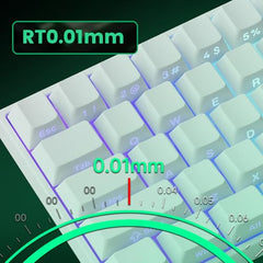 MONSGEEK FUN60 Pro Rapid Trigger Gaming Keyboard 16k Scan Rate SP Magnetic Switch HE Keyboard Wired 60% Black Shine-Through (Glare Magnetic Switch)