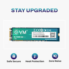 EVM 1TB M.2 SATA SSD 2280 | Internal SSD | Up to 550MB/s Read 370MB/s Write | Laptop Desktop Upgrade Storage | 5 Year Warranty (EVMM2/1TB)