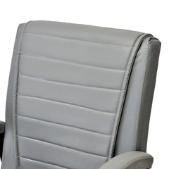 KITHANIA Executive Office Home Study Chair Library Chair with Cushioned Arm Rest & Seat Back, Reception or Conference Room Seating, 100 Kgs Limit (2, Pink, Double Pipe Chrome Frame)