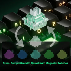 MONSGEEK FUN60 Pro Rapid Trigger Gaming Keyboard 16k Scan Rate SP Magnetic Switch HE Keyboard Wired 60% Black Shine-Through (Glare Magnetic Switch)