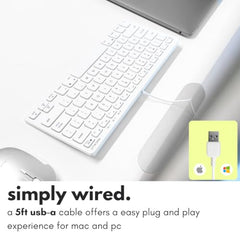 Macally Slim USB Wired Small Compact Mini Computer Keyboard for Apple Mac, iMac, MacBook Pro/Air, Mac Mini, Windows PC Desktops, Laptop (Space Gray)