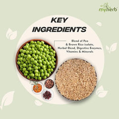 MYHERB Plant Protein Powder | Pea And Brown Rice Protein Powder | Vegan High Protein Powder | 27 gm Protien,21 Vital,6 gm BCCAs |Sugar Free|For Men,Women (500 g (Pack of 1), Chocolate)