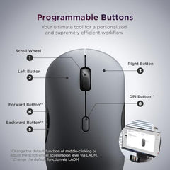 Lenovo 700 Multi-Device Wireless Silent Mouse, Bluetooth 5.3 or USB-A 2.4Ghz, Upto 5million Button clicks, 4000 DPI, Soft Touch Grip, Programmable Buttons, Dynamic Scroll Wheel, Seashell