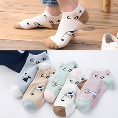 MOMISY Cute Cat Design Ankle Socks Pastel Colors, Low-Cut Casual Wear Pack of 5 (Multicolor)