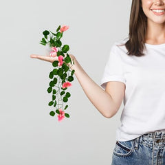 fancymart Artificial Flower Plant Home Décor with Small Size Pot | Pack of 2 | Plant Hanging for Home Decor | Office Decor (DESIGN-01)