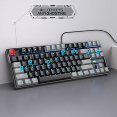 MageGee 75% Mechanical Gaming Keyboard with Brown Switch, LED White Backlit Keyboard, 87 Keys Compact TKL Wired Computer Keyboard for Windows Laptop PC Gamer - Retro Grey/White