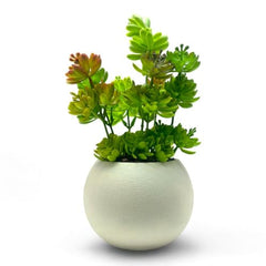 SKYGREEN Luxury Artificial Green Bonsai Tree with Stylish Decorative Pot for Modern Home, Office Desk & Shelf Decor | (BN-104)