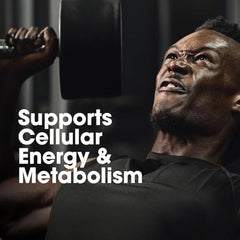 Optimum Nutrition (ON) Multivitamin for MEN– 60 Tablets, 26 Vitamins & Minerals, Amino Acids & Anti-Oxidants (Green Tea Extract, Beta Carotene, Lutein, Lycopene). Vegetarian.