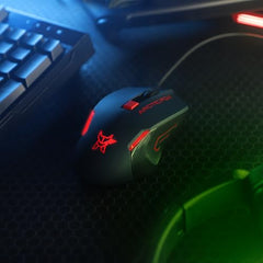 Arctic Fox Wired USB Gaming Mouse with Breathing Lights and DPI Upto 3600 (Charcoal Black)