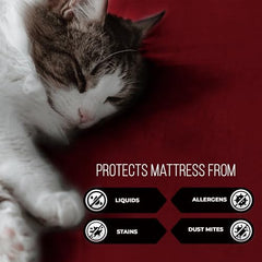 MollisHomes Mattress Protector Single Size, 72x36 Inches, Grey