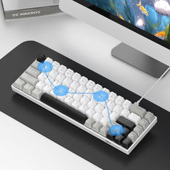 MageGee Portable 60% Mechanical Gaming Keyboard, MK-Box LED Backlit Compact 68 Keys Mini Wired Office Keyboard with Blue Switch for Windows Laptop PC Mac - Blue/White