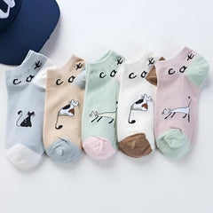 MOMISY Cute Cat Design Ankle Socks Pastel Colors, Low-Cut Casual Wear Pack of 5 (Multicolor)