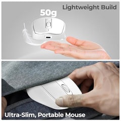 Foxin Flow Wireless Mouse with Rechargeable Battery, Bluetooth & 2.4 Ghz Dual Connectivity, 4 Buttons, Upto 1600 DPI, Type-C Charging | Ergonomic Office Mouse for Laptop, MacBook, PC | Green