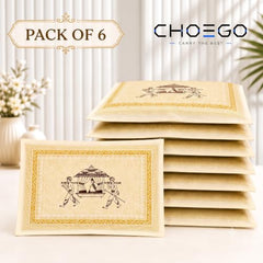 Choego New Season Wedding Print Saree Cover Pack of 12 | Zip closure, Doli Print Reusable storage bags, Ideal for bridal designer sarees, Wardrobe organizer, One side transparent