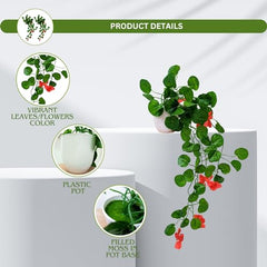 fancymart Artificial Flower Plant Home Décor with Small Size Pot | Pack of 2 | Plant Hanging for Home Decor | Office Decor (DESIGN-01)