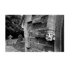 Ilford Photo 1629017 HP-5 Plus 400 Fast Black and White Professional Film, ISO 400, 120 Size (Brown)