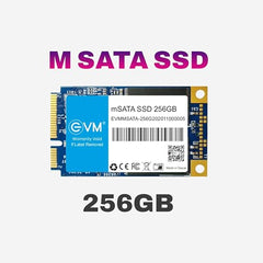EVM 1TB mSATA Internal SSD | 3D NAND Storage | Up to 520MB/s Read 320MB/s Write | Laptop Ultrabook Upgrade | 5 Year Warranty (EVMMS/1TB)