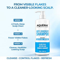 Aqueria Oil Control 3% Niacinamide French Face Serum for Oily & combination Skin with 2% BHA | Oil Free & Non Comedogenic Mattifying Anti Acne Serum | Fades Acne Marks & Reduces Dark Spots | Reduces Blackheads, Excess Oil & Bumpy Texture | Lightweight &…