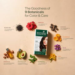 Biotique Herbcolor Conditioning Hair Colour l Ammonia Free Hair Color l 9 Organic Herbal Extracts l Natural and Healthy Shine l 50g + 110ml| Natural Black 1N (Pack of 1)