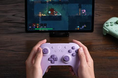 8Bitdo Ultimate 2C Wireless Controller for Windows PC & Android, Mint
