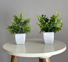 Litleo Plastic Artificial Plants Mini, Eucalyptus Potted Faux Decorative Grass Plant For Home Decor, Indoor, Office, Desk, Shelf, Table Decoration (Pack Of 4), Green