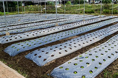 Siddhi Jai Hari Plastic Mulching Film 30 Micron | 3.25 Feet Width x 400 Meter Length | Agricultural Mulching Paper for Vegetable Farming, Crop Beds, Nursery & Gardening | 1000mm Width