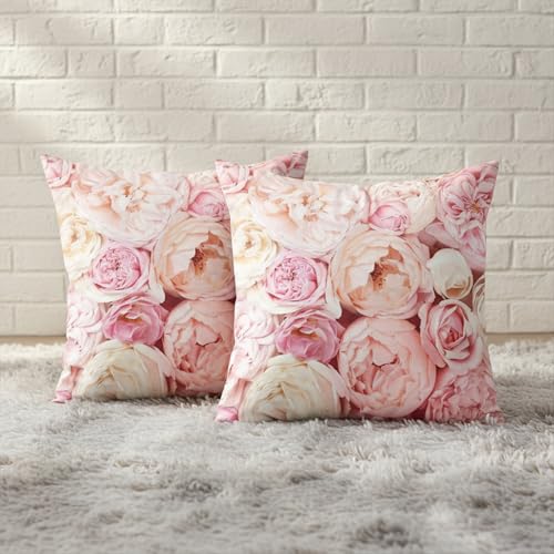 MOMISY Decorative Polyester Home Sofa Bedside Cushion Throw Pillow Covers, 45 x 45 cm, Pack of 2 (Rose-2)