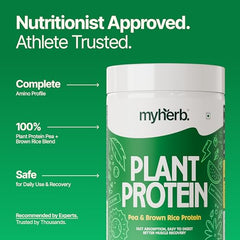 MYHERB Plant Protein Powder | Pea And Brown Rice Protein Powder | Vegan High Protein Powder | 27 gm Protien,21 Vital,6 gm BCCAs |Sugar Free|For Men,Women (500 g (Pack of 1), Chocolate)